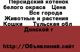 Персидский котенок белого окраса › Цена ­ 35 000 - Все города Животные и растения » Кошки   . Тульская обл.,Донской г.